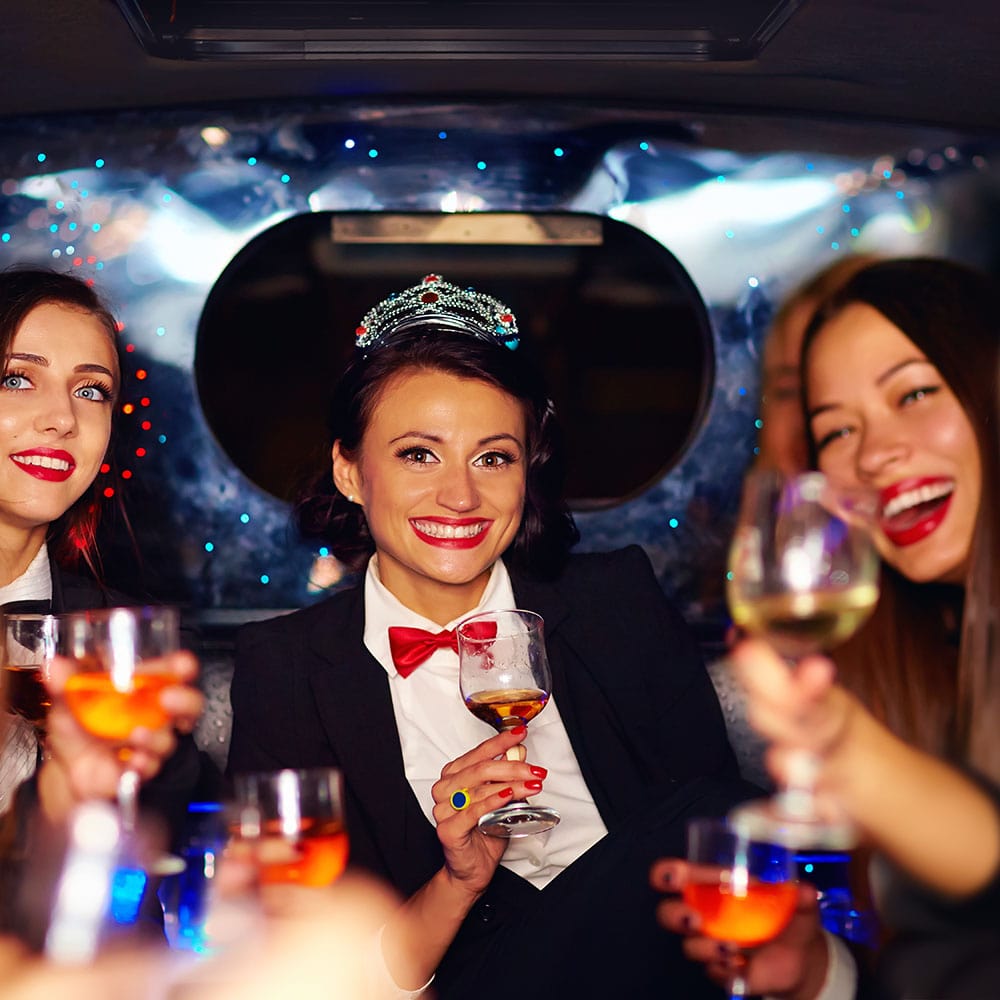 Limo Service Schiller Park night on the town