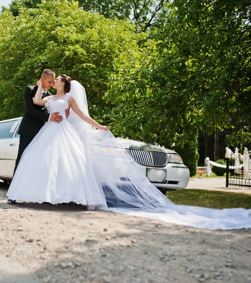 Limo Service Schiller Park wedding